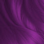 Noel Ochoa